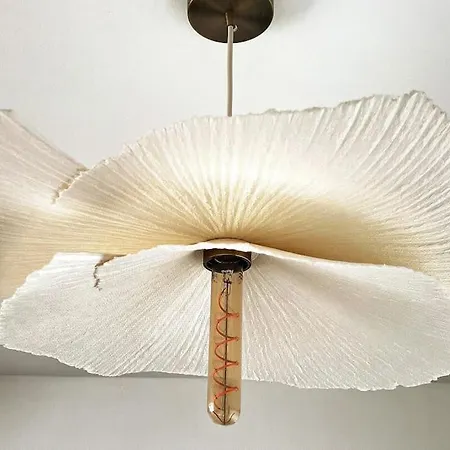 Vakantiehuis L'aparte A 5min De La De Hardelot Neufchâtel-Hardelot